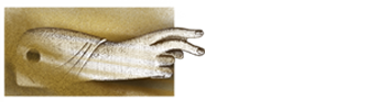 XVIII