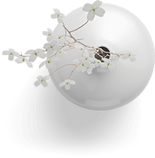 vase